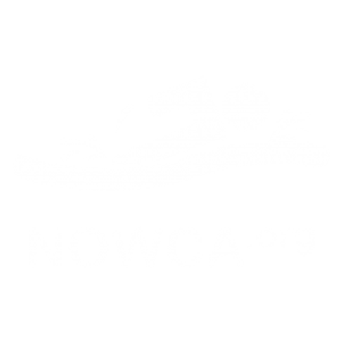 NOWCA Logo